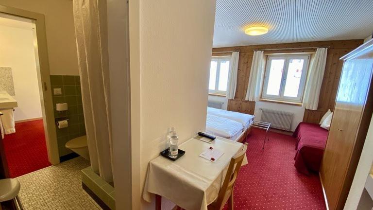 Hotel Alpina Parpan Zewnętrze zdjęcie