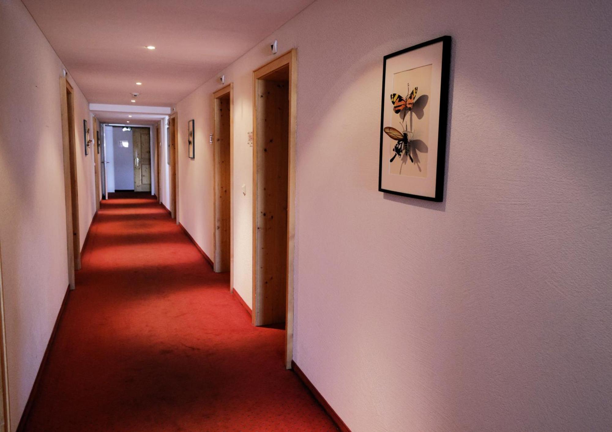 Hotel Alpina Parpan Zewnętrze zdjęcie
